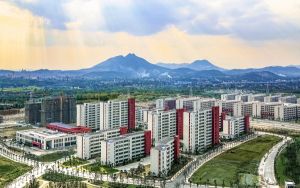 苹果今年没有发布新iPadMini的计划