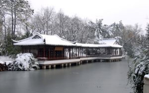 科沃斯地宝哪一款好_科沃斯地宝好用吗_科沃斯地宝好用吗