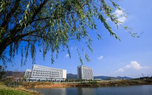 apple id充值怎么用_apple id充值