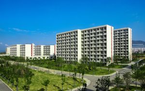 淘宝首单礼金怎么变两元了_淘宝品牌首单礼金怎么找到