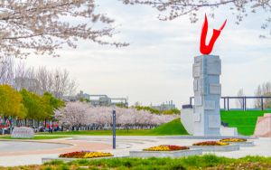 wegame安装包文件md5校验失败错误码7001263错误提示该怎么办？