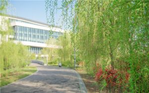 黑道圣徒4作弊码秘籍使用方法_黑道圣徒4作弊码一览