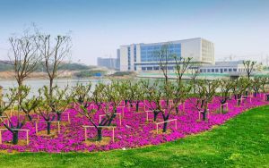 路由器地址怎么修改_路由器地址