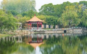 微信网页版登录不了_由于安全原因_此微信号不能使用网页版微信解决方法