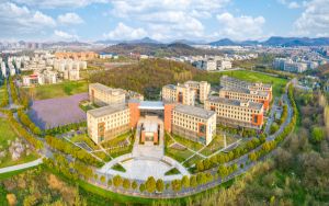 苹果手机烧屏会不会越来越严重_苹果手机为什么会烧屏