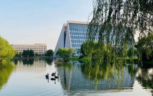 怎么设置纸张为letter_文档纸张letter怎么设置