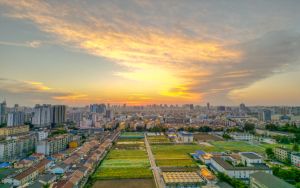 苹果发布iOS 14.2和iPadOS 14.2的第二个公开测试版