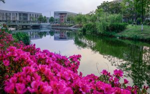 iPad的Adobe Illustrator现在可在App Store中预订