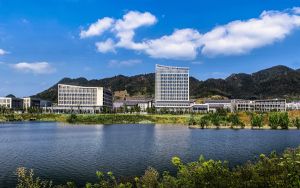 天龙八部武魂如何合成_《天龙八部》天龙八部武魂怎么合成详解心得
