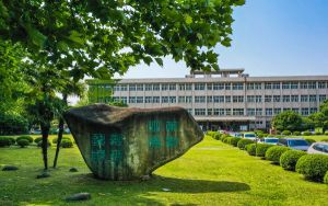 字大的手机哪个好_大字手机_大字手机怎么样