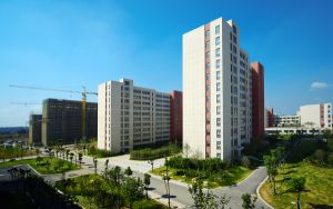苹果x 屏幕透图用得住吗_iphonex是几k屏幕