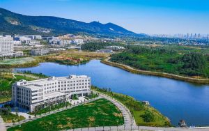 2020年跨年表白如何安排_2020年跨年表白句子