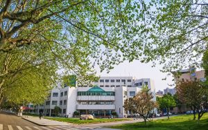 微信消息和电脑不能同步为什么_微信同步电脑后为什么没有消息呢