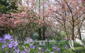 苹果六升级12.4.8总是出现错误_苹果8要不要升级12.4.1