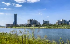 在线图片处理软件有哪些_在线图片处理软件