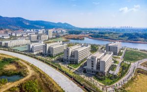 软路由器什么意思_软路由器是什么意思