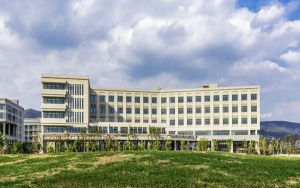 文叔叔_一个匿名网盘_免费不限速支持大文件传输分享