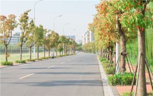 奔腾4630_CPUintel奔4630及主板华硕P5GDC及配9600GTor8600GT