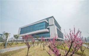 word中文本框如何设置环绕方式_文本框的环绕方式怎么设置